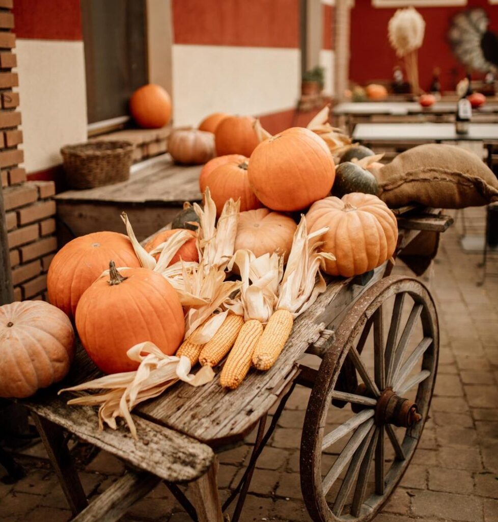 campo di zucche il cascinetto festival autunno zucca festa