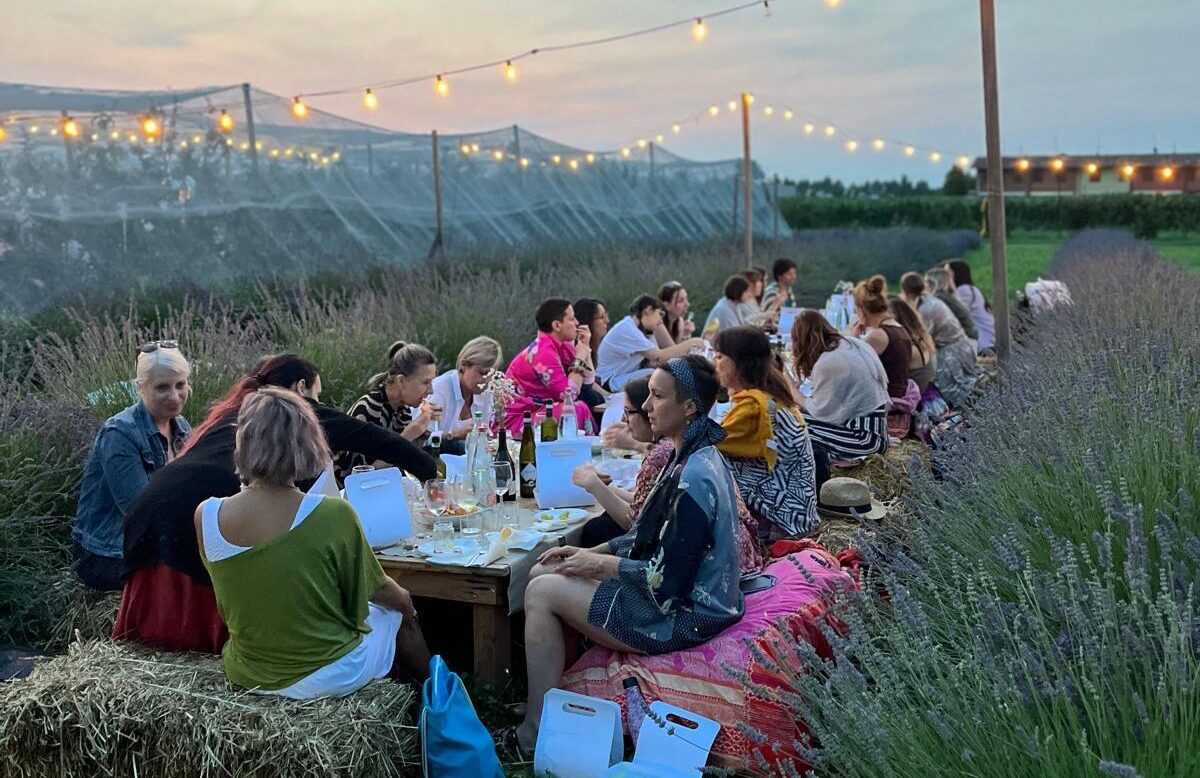 pic nic nella lavanda il cascinetto agriturismo aperitivo